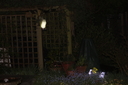 garden_007.JPG